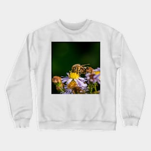 Bee 14 Crewneck Sweatshirt